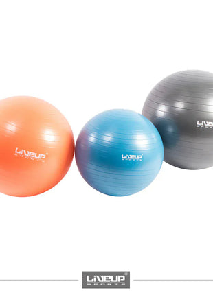 Liveup Gym Ball Anti Burst 55cm - LS3222