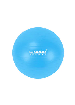 Liveup Gym Ball Anti Burst 55cm - LS3222