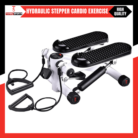Mini Fitness Twist Stepper Electronic Display Home Exercise Workout Machine