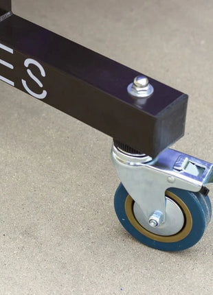 Sanwei Table Tennis Table - TA10 Andes Shadow - 25mm Top Foldable Imported