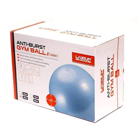 Liveup Gym Ball Anti Burst 65cm - LS3222