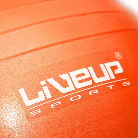 Liveup Gym Ball Anti Burst 65cm - LS3222