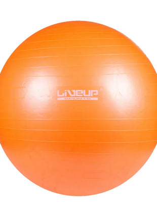 Liveup Gym Ball Anti Burst 65cm - LS3222