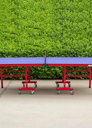 Sanwei Table Tennis Table Imported - TA 8X - 20mm Top Foldable