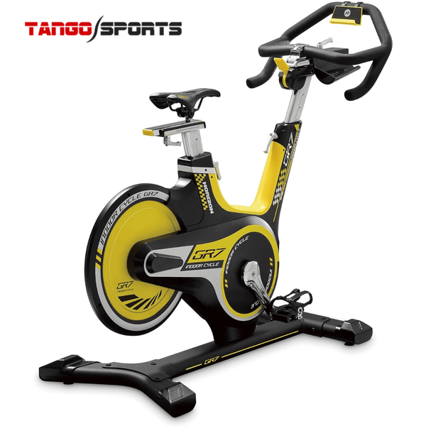 Horizon Fitness GR7 Indoor Cycle Stationary Exercise Bike with Magnetic Resistance