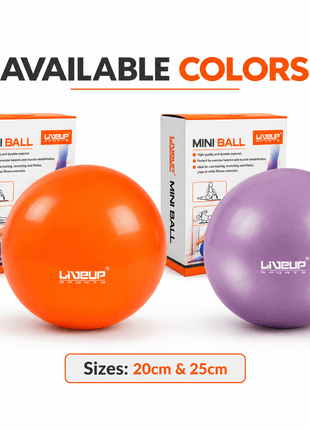 Liveup Yoga Mini Ball Pilates 20cm and 25cm