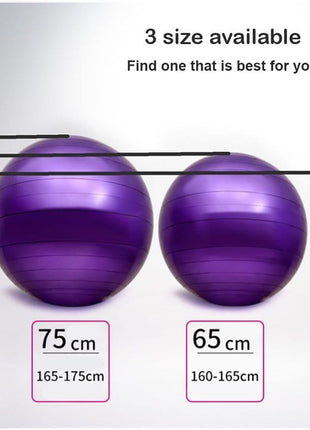 75cm Gym ball with Air pump Tango Sports