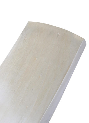 CA Vision 8000 Tapeball Cricket Bat Tango Sports