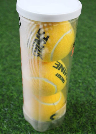 Shine Cricket Ball - Pack of 3 Tango Sports